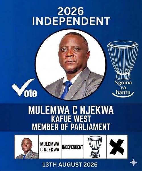 Portrait of Njekwa Mulemwa C